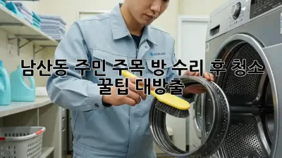 ✨ 남산동 주민 주목! 방 수리 후 청소 꿀팁 대방출 🏡