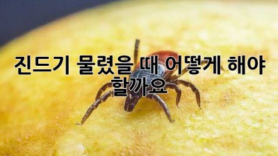 진드기 물렸을 때, 어떻게 해야 할까요?