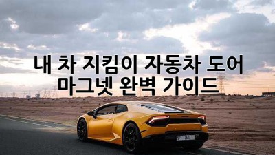 내 차 지킴이! 자동차 도어 마그넷 완벽 가이드